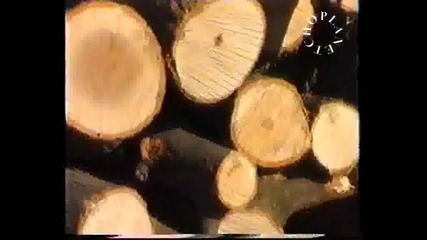 Жоро - Луд умора няма - By Planetcho