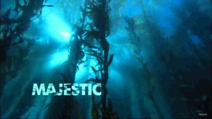 Nat Geo Wild Hd New Advert 1080p 2012