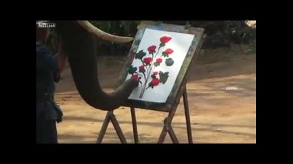 Слон рисува картина с хобот