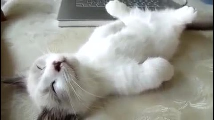 Дълбок сън!