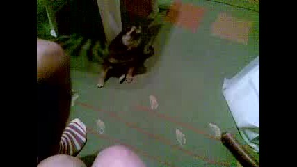 03092008.mp4