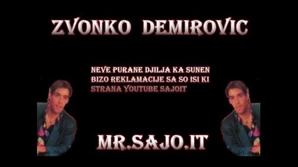 Zvonko Demirovic _23_ Luludi Ko Kan Civcan - Sajo - It.wmv