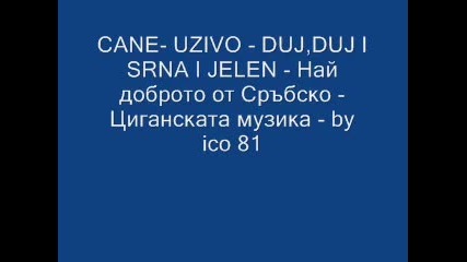 Cane- Uzivo - Duj,duj I Srna I Jelen - by ico 81