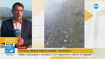 Стотици умрели риби в язовир „Копринка”