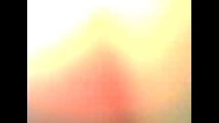 Bsl