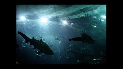 Ryan Farish - Deep 