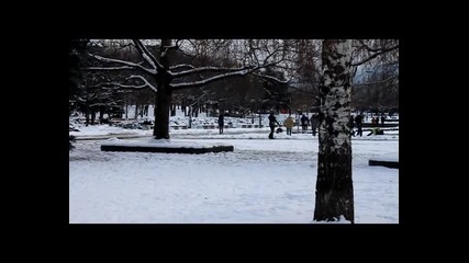 Весели празници от Физици Филми!