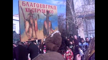 Сурва 2012 Кв.струмско