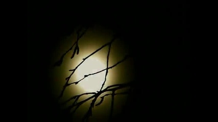 Beethoven Moonlight Sonata arranged for String Quartet 