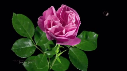 Just For You
