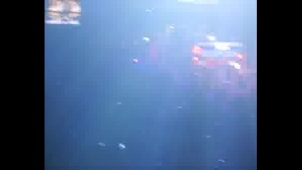 19.04.08. Metropolis - Carl Cox
