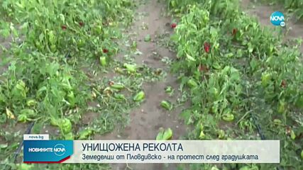 Опустошителна градушка в Пловдивско, земеделци искат обезщетения (ВИДЕО)