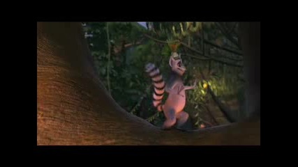 madagascar moments 