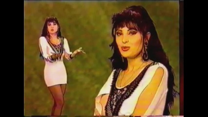 Dragana Mirkovic - Zaboravi srce - (official Video 1993)