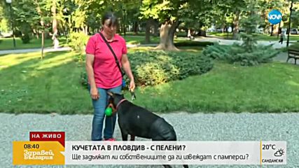 Кучетата в Пловдив - с пелени?