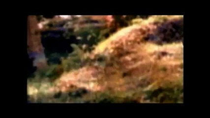 Busta Rhymes - Break Ya Neck (uncensored) Hdtv _videoclip_