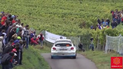 Wrc - Rallye De France 2010 [hd]