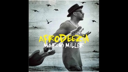 Marcus Miller - Papa Was A Rolling Stone
