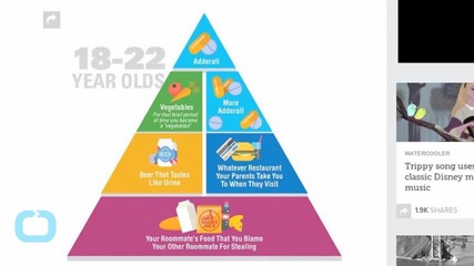 If Millennials Were in Charge of the Food Pyramid