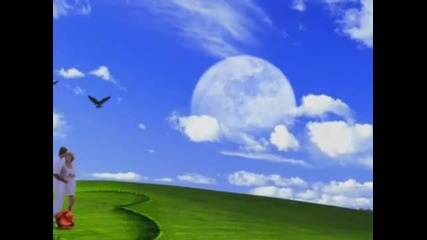 Beautiful-secret garden