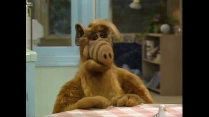 You Ain't Nothing But A Hound Dog