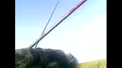 debeliq ribar