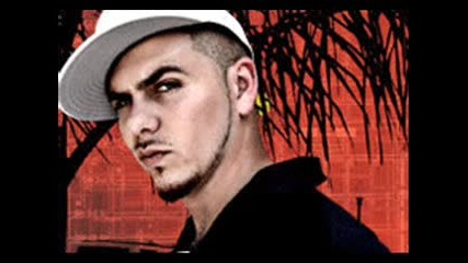 Pitbull Hotel Room 2009
