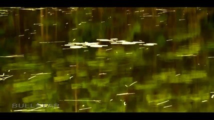 Asher Quinn Asha - Sonatina