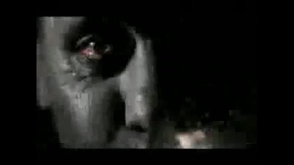 Rammstein - Ich Tu Dir Weh