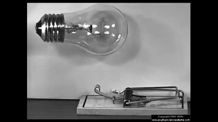 Light bulb in mouse trap in slow motion 