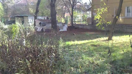 Sony Ericsson vivaz video sample