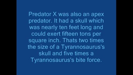 Megalodon vs Predator X