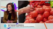 Защо производители на плодове и зеленчуци у нас не успяват да реализират продукцията си