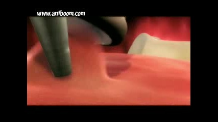 Run Germ Run - Funny Animation
