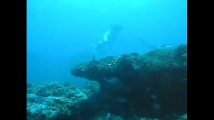 Mono - Burial At the Sea 