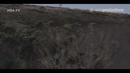 Страхотен Панорамен Път Hd 