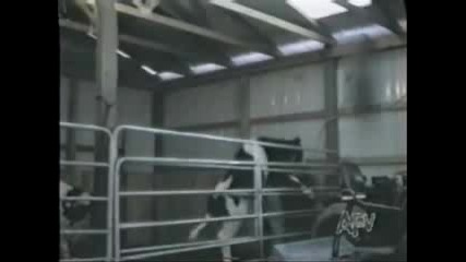Funny Video compilation - ouch!!!thats gotta hurt