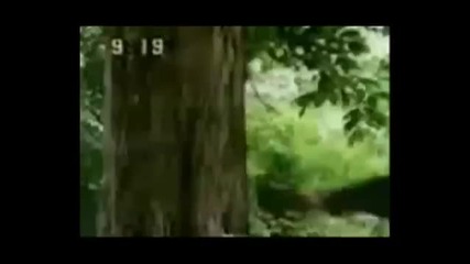 Жан - Клод Ван Дам