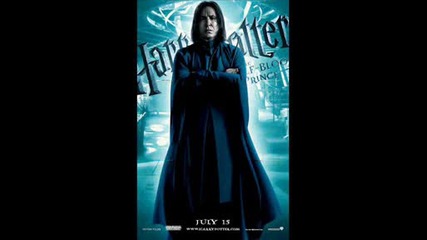 Harry Potter We Made It
