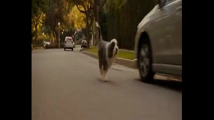 The Shaggy Dog / Човекът куче (2006) Целия Филм със Бг Аудио