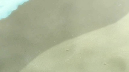 beach competition