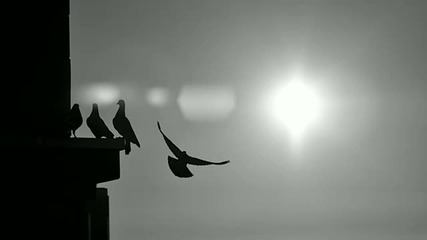 Art Of Shades Ft. Soukaina - All Away (original Mix)
