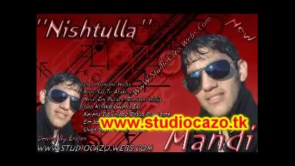 mandi 2011.1 