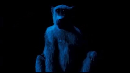 Him - Heartkiller (official Music Video) 2010