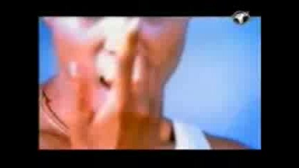 T - Spoon - Sex On The Beach