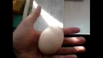 Ogromno Qice