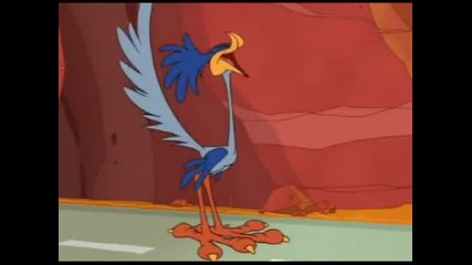 Road Runner Coyote - Whizzard of Ow Haaland