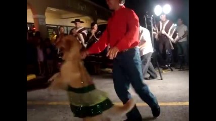 Куче танцува невероятно:)
