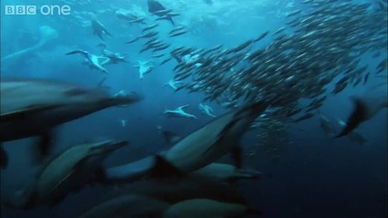 [ H D ] Underwater Armageddon