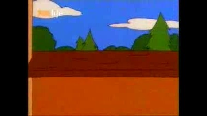 семеиство симсан 